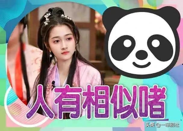 娱乐吃瓜爆料小说推荐,揭秘明星背后的秘密与八卦
