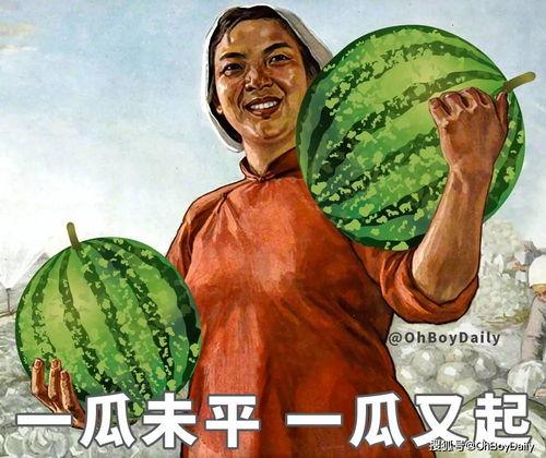 娱乐吃瓜图鉴,揭秘明星幕后故事