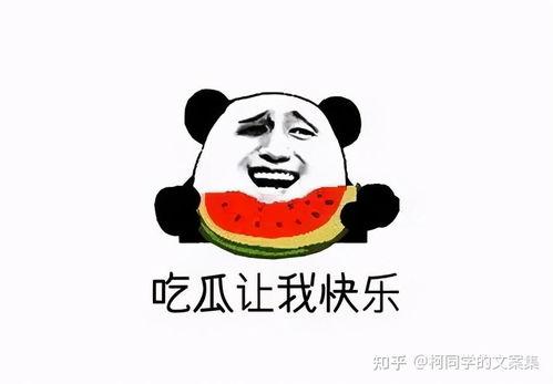吃瓜群众壁纸可爱,吃瓜群众壁纸里的可爱瞬间