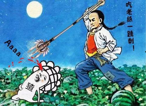 娱乐吃瓜群众1,揭秘娱乐圈背后的那些事儿