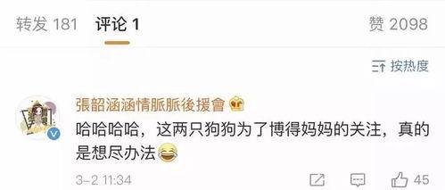 娱乐圈吃瓜微博号多少