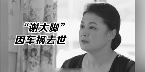 娱乐圈的吃瓜影帝 小说,影帝的瓜田秘事